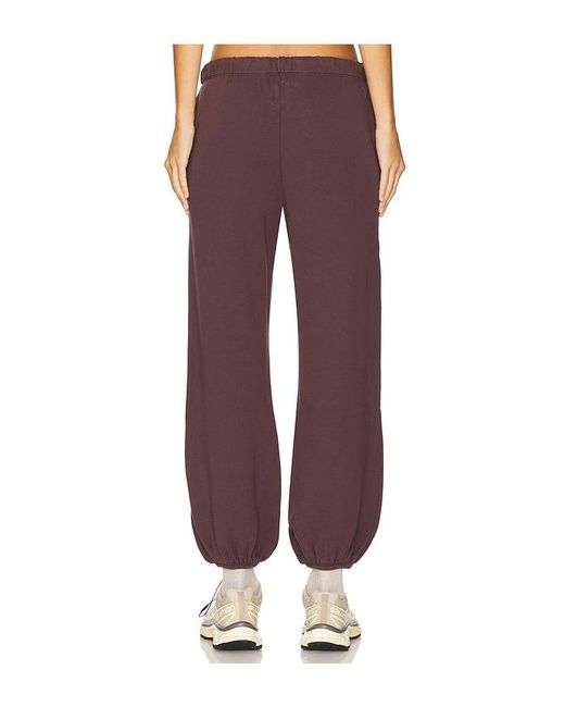 NSF Purple Shane Drawstring Jogger