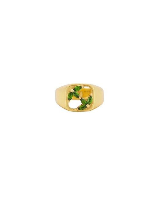 Maple Multicolor 3Am Signet Ring for men