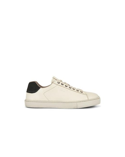 AllSaints White Tucker Low Top Sneaker for men