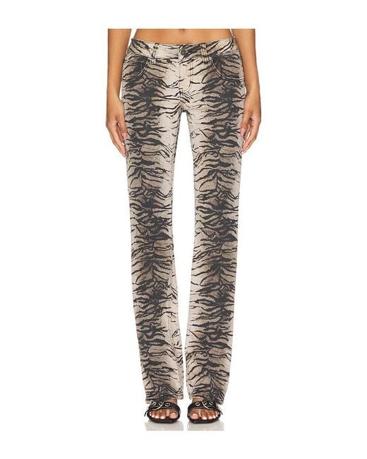 Jaded London Multicolor Bootcut Jeans