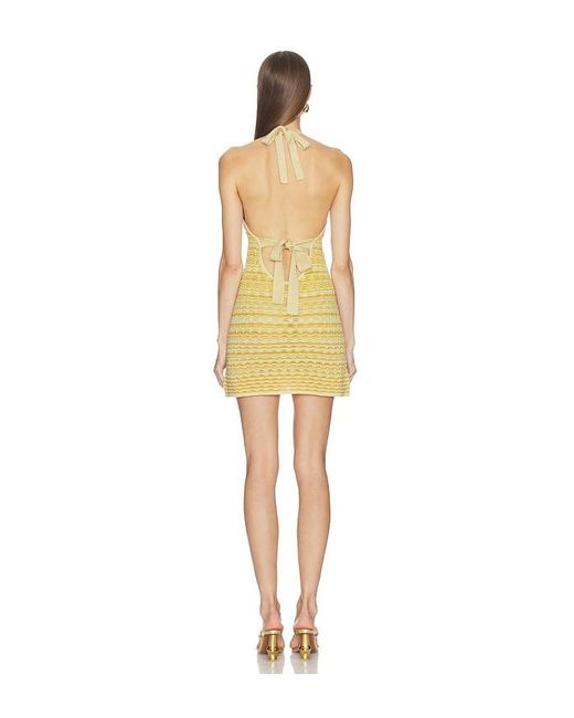 Cult Gaia Yellow Erina Knit Dress