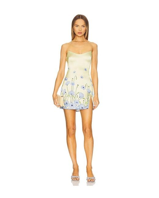 Katie May Multicolor Debra Dress