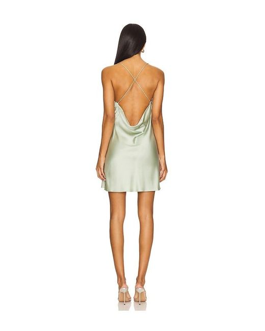 Alice + Olivia Multicolor Harmony Mini Slip Dress