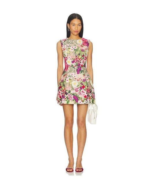 Elliatt Multicolor Flora Mini Dress