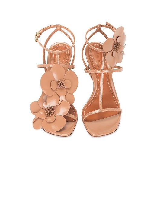 Zimmermann Pink Orchid Sandal