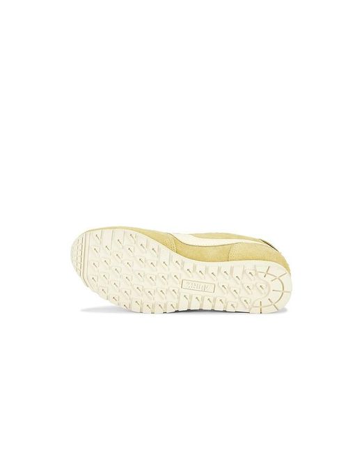 Autry Multicolor Windspin Low Sneaker