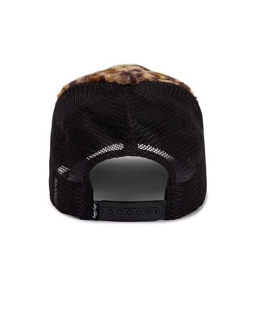 Happy Caps Brown Sherpa Meshback Hat