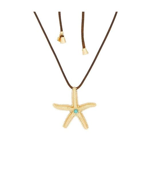 Ettika Black Starfish Wrap Necklace