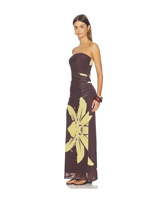 Bardot Multicolor Ciera Strapless Mesh Dress