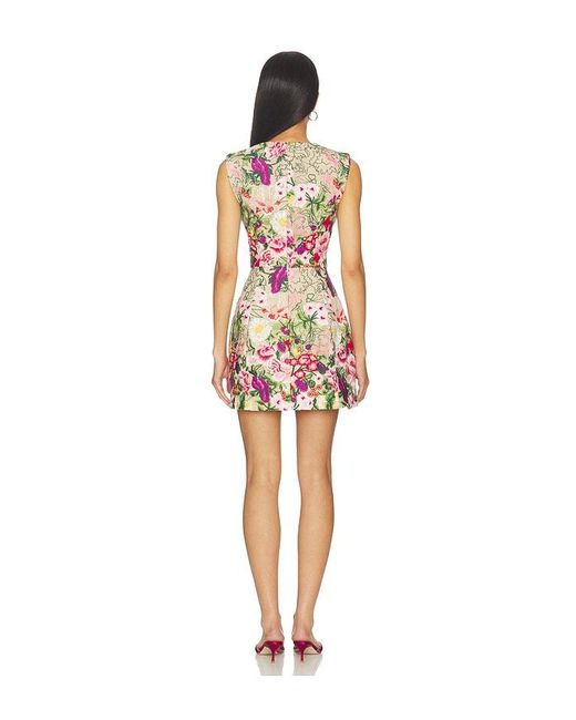 Elliatt Multicolor Flora Mini Dress