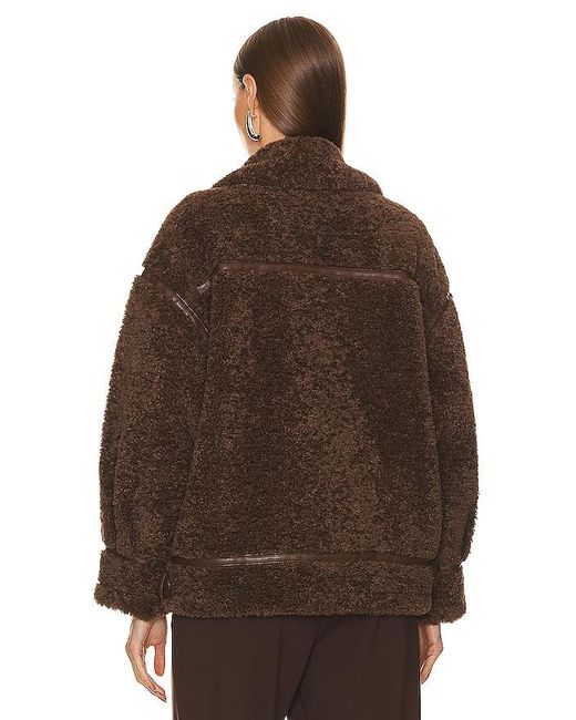 Lamarque Brown Badu Jacket