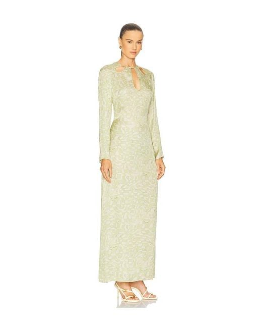 Alexis White Skyla Dress