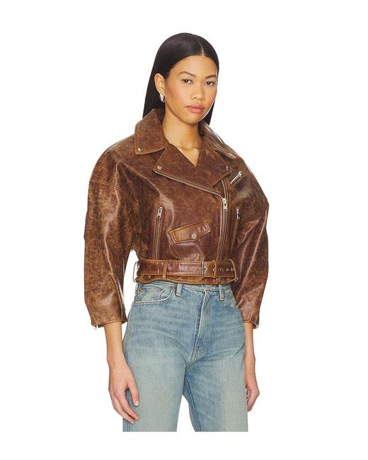 Lamarque Brown Vinnie Jacket