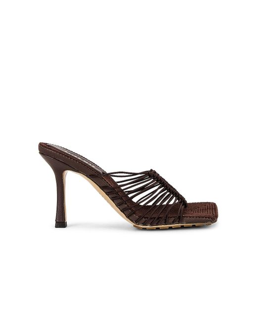alias mae zola mule