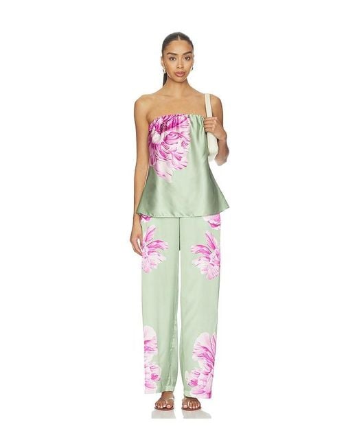 MISA Los Angles Multicolor Izzie Pant