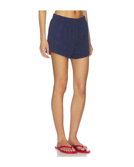 Beach Riot Blue Malik Short