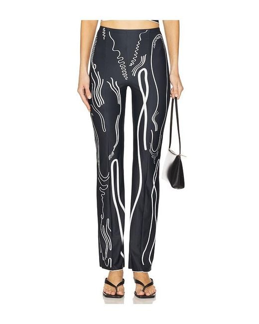 DI PETSA Blue Venus Shell Lycra Trousers