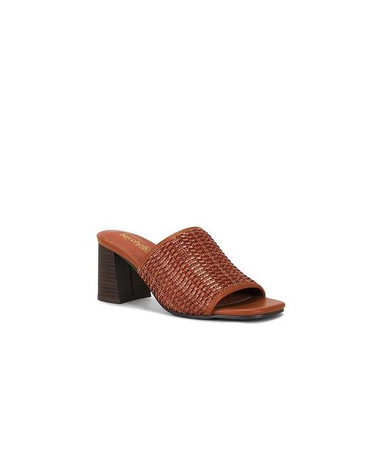 Seychelles Brown Sandale Adapt 3