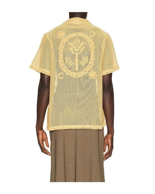 Oas Yellow Terra Cuba Shirt for men