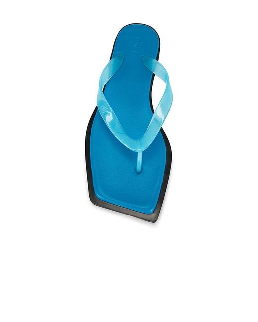 Dirt Blue Flip Flops