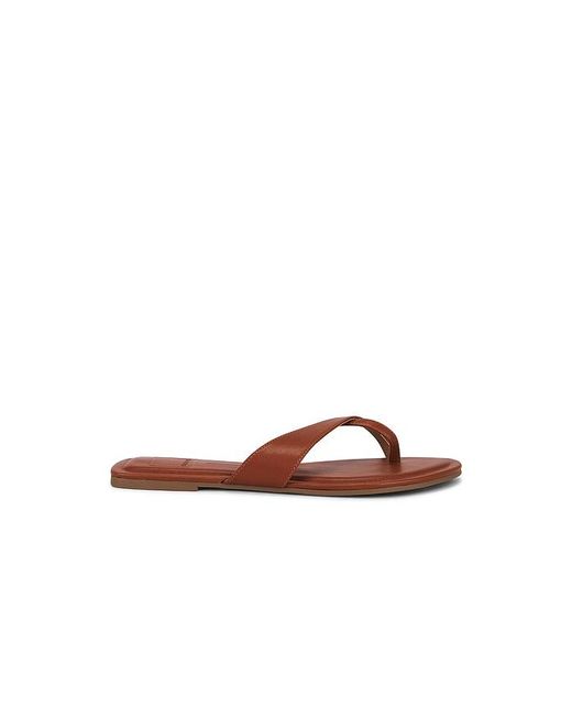Dolce Vita Brown Lenex Thong Sandal