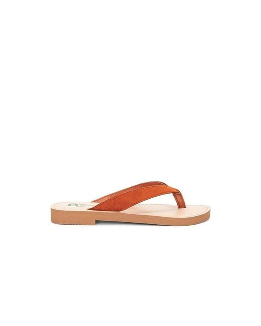 Seychelles Multicolor Deliah Sandal