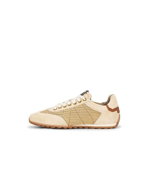 AllSaints White Liam Low Top Sneaker