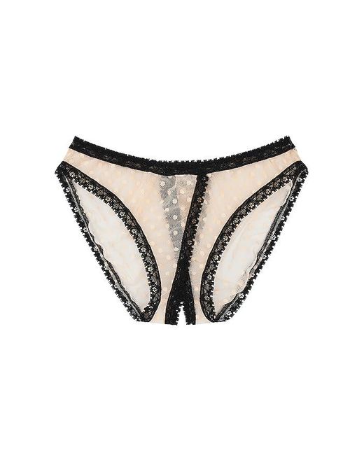 Only Hearts Black Coucou Lola Culotte Panty