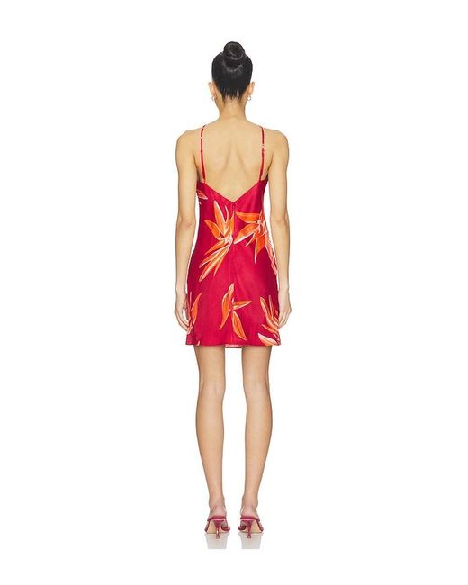 Rococo Sand Red Bias Halter Mini Dress