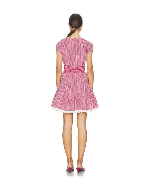 Saylor Pink Asterid Dress