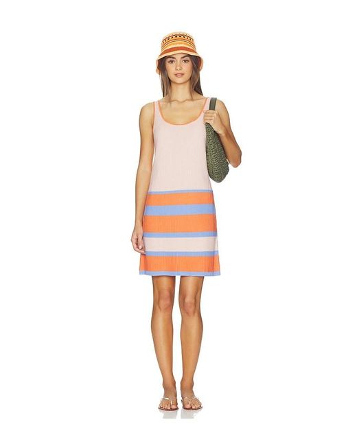 Sancia Multicolor The Evora Knit Dress
