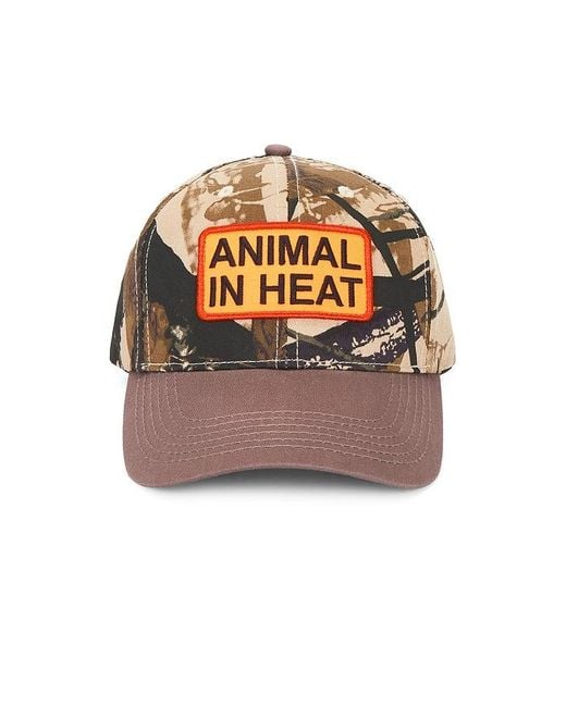 Pleasures Brown Heat Snapback Hat