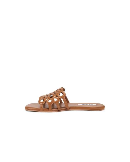 Steve Madden Brown Lotus Sandal