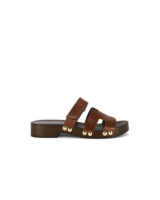 Steve Madden Canal サンダル Brown