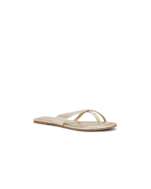 Dolce Vita White Lenex Thong Sandal
