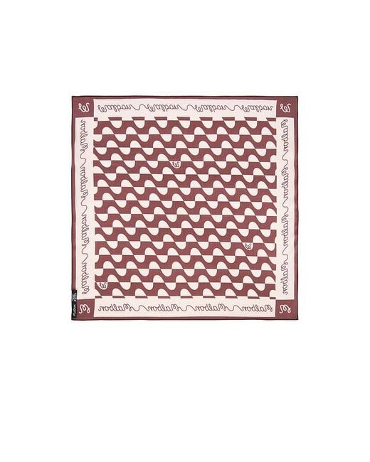 Malbon Multicolor Adanna Scrunchie Scarf