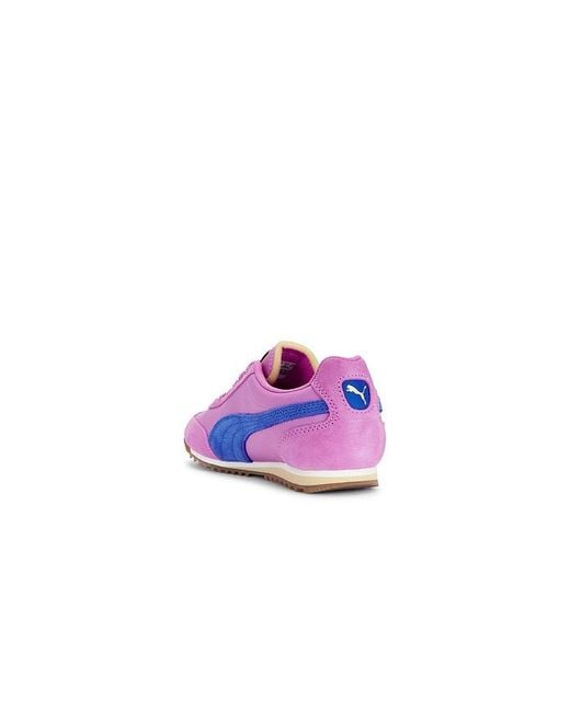 PUMA Purple Arizona Nylon Sneakers