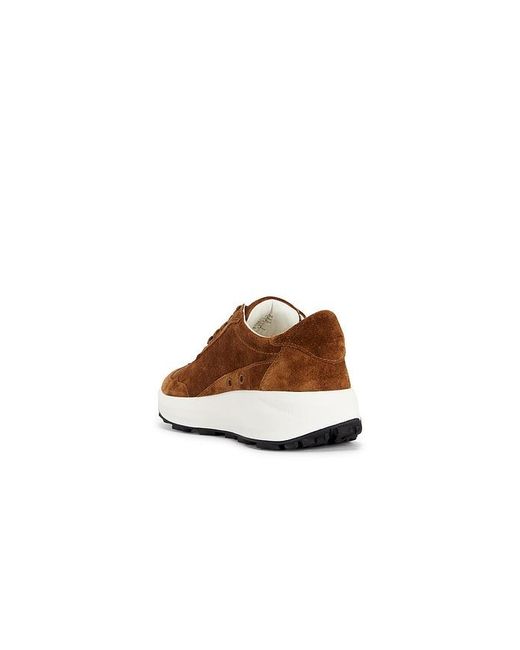 Tory Burch Brown Tory Sneaker