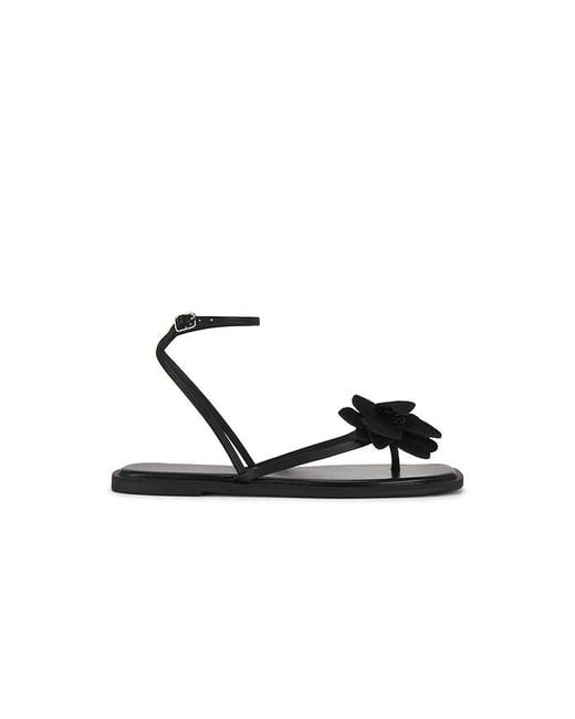 Free People Black Mismatch Magnolia Sandal