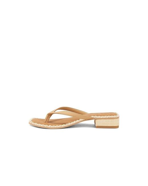 Dolce Vita Multicolor Barty Sandal