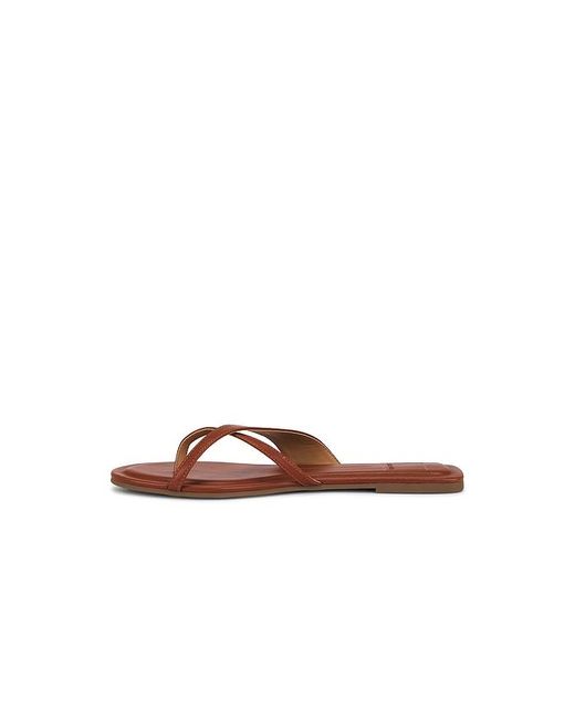 Dolce Vita Brown Lenex Thong Sandal