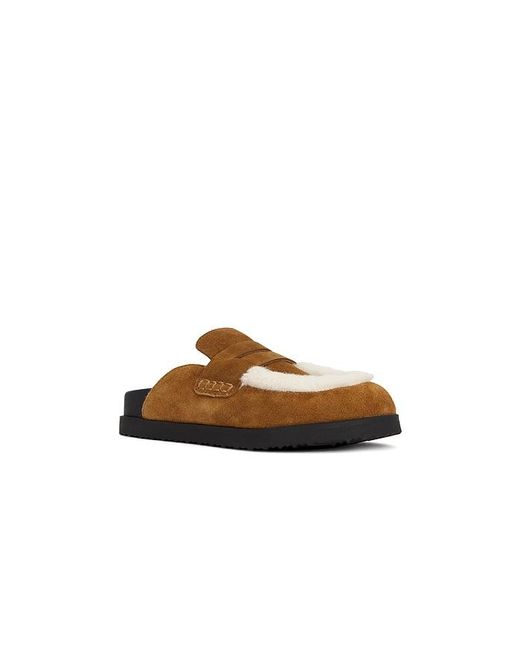 Steve Madden Brown Clogs Tomlin