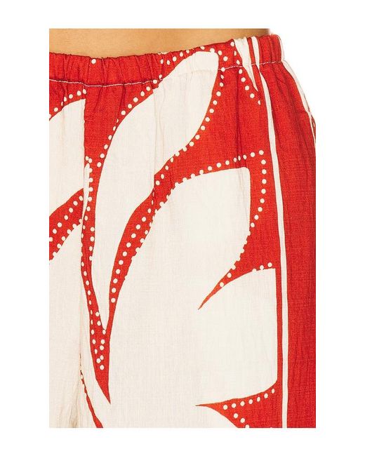 Seven Wonders Red Arlette Palazzo Pant