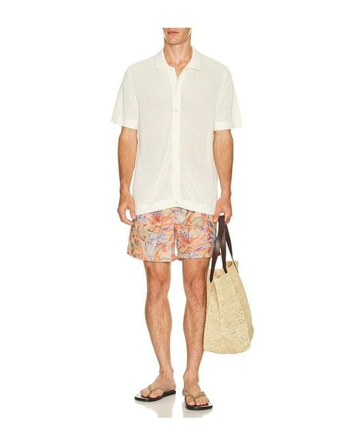 Bather Red Macaw Jungle Swim Trunk for men