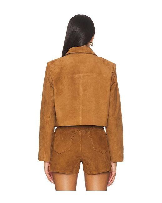 Cami NYC Brown Sullivan Suede Jacket