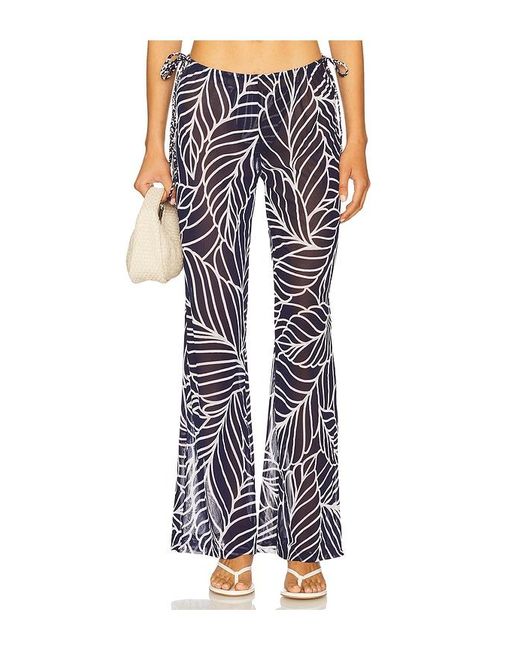 Devon Windsor Multicolor Hose Ollie