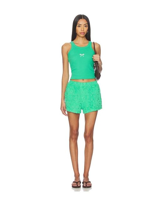 Araminta James Green Cruise Dolphin Terry Short