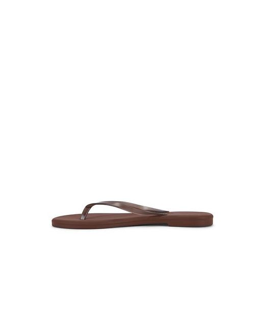 TKEES Brown Aqua Flip Flops