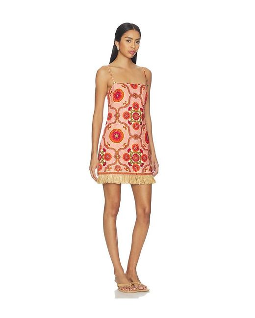 Cara Cara Red Valencia Mini Dress
