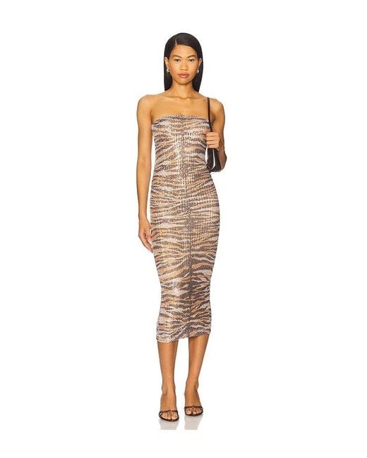 Le Superbe Multicolor Tigress Tube Dress